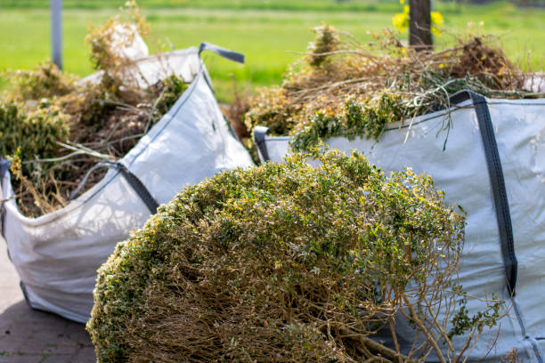 Demolition Debris Removal in Carrizo Springs, TX